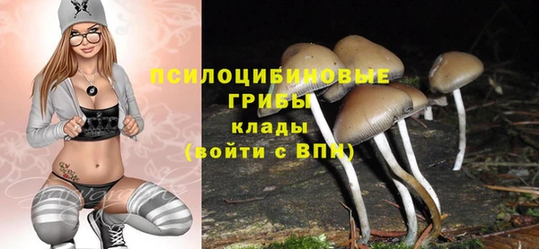 а пвп мука Балахна