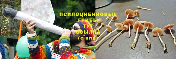 spice Армянск