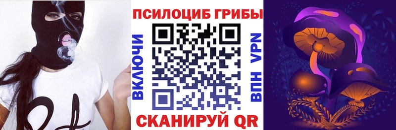 Псилоцибиновые грибы GOLDEN TEACHER  Светлогорск 
